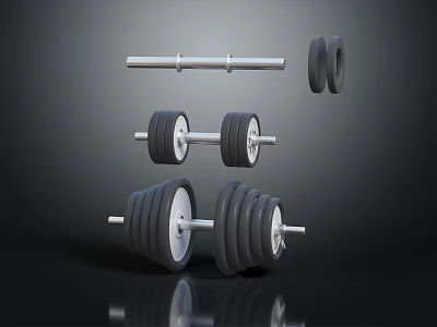 Fitness Equipment Collection Including Dumbbells Barbell And Weight Plates For Gym Workout 3d model
