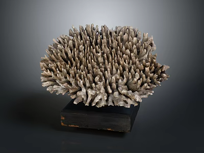 Aquatic Animal Coral Formation in Natural Marine Ecosystem Underwater Habitat 3d model
