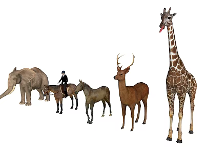 Reptile Animals In Wildlife Group With Giraffe Elephant Deer And Horses 3d model