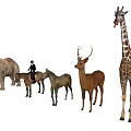 Reptile Animals In Wildlife Group With Giraffe Elephant Deer And Horses