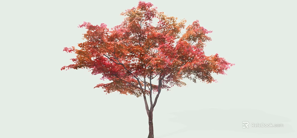 Tall Arbor With Vibrant Red And Orange Fall Leaves In Natural Scene 3d model 