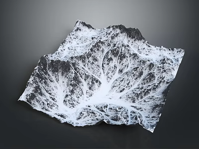 Black and white 3D mountain landscape with tree branch like texture and natural terrain pattern 3d model