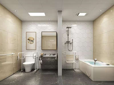 Modern Accessible Public Restroom Interior With Toilet Sink Mirror And Handrails 3d model