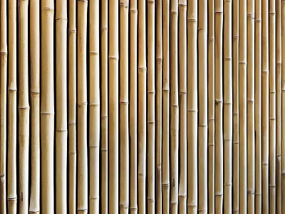 Natural Bamboo Partition With Vertical Sticks For Interior Room Division 3d model