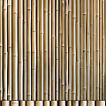 Natural Bamboo Partition With Vertical Sticks For Interior Room Division