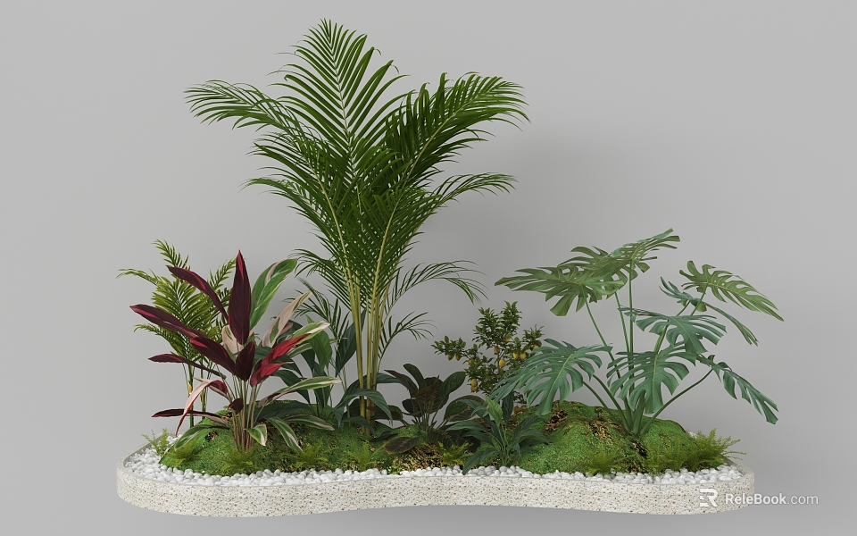 Tropical Garden Landscape With Palm Monstera Red Leaf Plants Moss And White Pebbles 3d model 