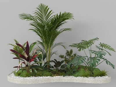 Indoor Landscape Fern Plant Heap Micro Terrain Tropical Plants model