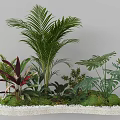 Tropical Garden Landscape With Palm Monstera Red Leaf Plants Moss And White Pebbles