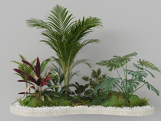 Indoor Landscape Fern Plant Heap Micro Terrain Tropical Plants 3d model