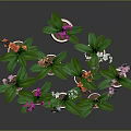 Colorful Orchids with Various Colored Flowers in Pink Ceramic Pots and Lush Green Leaves