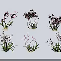 Decorative Purple And White Flowers With Green Leaves Slender Stems On White Background