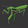 Green Metallic Mantis 3D Model With Red Antennae And Glossy Exoskeleton