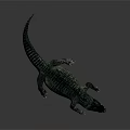 Realistic 3D Rendered Crocodile With Scaly Skin Lying On Dark Surface