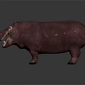 Realistic Hippo Standing With Open Mouth And Brown Skin On Dark Background