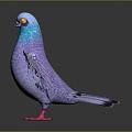 Modern pigeon flat pigeon bird bird 3d model