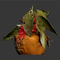 Textured Decorated Oranges With Red Ribbons Green Leaves And Chilies On Black Background