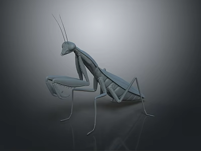 praying mantis knife roach winged insect insect animal game animal cartoon animal 3d model