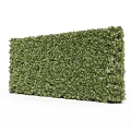 Lush Green Shrubs Arranged In Neat Rows With Various Heights For Landscape Design