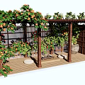Wooden Pergola With Climbing Vines And Orange Flowers On Garden Wooden Deck
