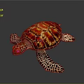 Modern Turtle Cartoon Turtle 3d model
