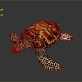 Modern Turtle Turtle Turtle Cartoon Turtle 3d model