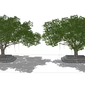 Two Arbor Trees With Green Leaves And Lush Canopy On Stone Base 3d model