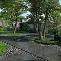Lush Garden Landscape with Cherry Blossom Trees Gravel Pathway and Modern Building Exterior