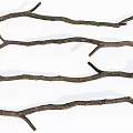 Natural Stone And Wood Branches For Rustic Craft Decor Projects 3d model