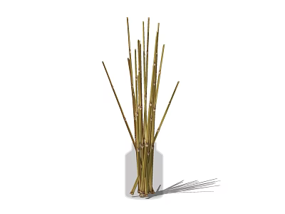 Elegant Transparent Glass Vase With Slender Golden Brown Decorative Plant Stems 3d model