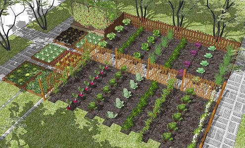 Modern Vegetable Garden Rural Courtyard Landscape Agriculture Vegetable Garden Vegetable Box 3d model