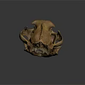 Ancient Animal Skull Fossil With Brown Textured Surface On Dark Background