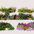 Assorted Garden Flowers And Various Plants With Colorful Blooms And Lush Foliage
