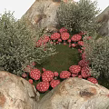 Garden Landscape Featuring Rocks Green Bushes and Red Mushrooms with White Spots