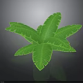 Large Green Tropical Leaves With Vibrant Veins For Interior Decoration