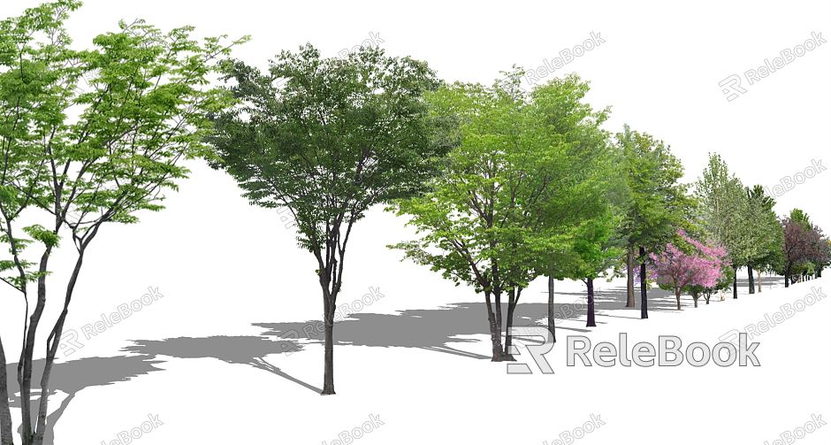 Modern Tree Plant Trees Arbor model