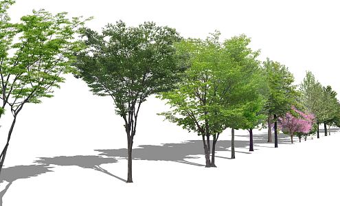 Modern Tree Plant Trees Arbor 3d model