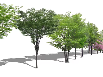 Modern Tree Plant Trees Arbor 3d model