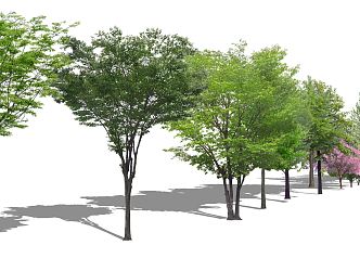 Modern Tree Plant Trees Arbor 3d model