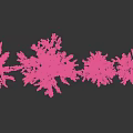 Vibrant Pink Leaf Shrubs In Various Sizes For Garden Landscape Arrangement