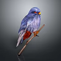 Vibrant Blue and Red Feathered Bird with Red Eyes Perched on Branch Against Gray Background