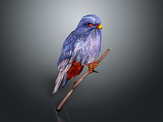 Modern Birds 3d model