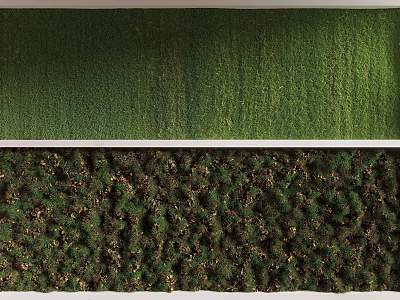 Lush Green Vertical Garden with Dense Plant Cover and Natural Textured Layers 3d model