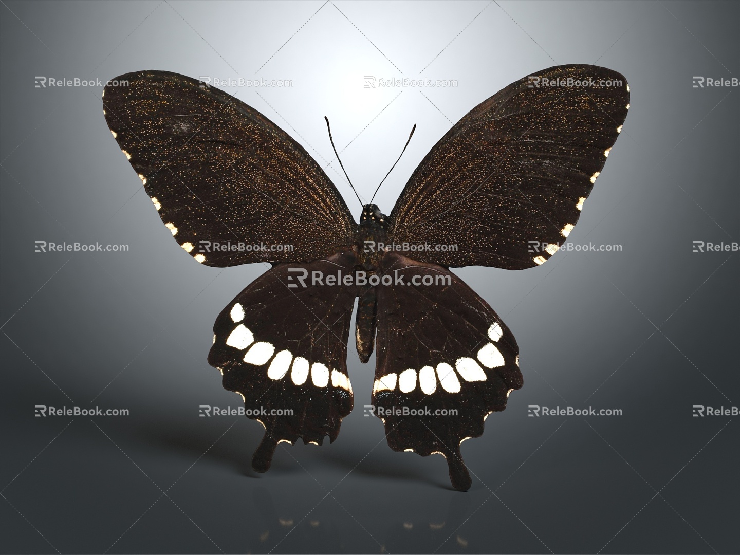 Modern Butterfly Colored Butterfly Tabby Butterfly Leaf Butterfly 3d model