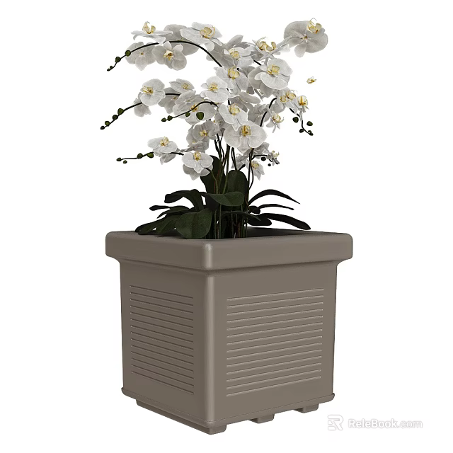 Bonsai Potted Plant With Square Gray Pot White Orchid Flowers And Green Leaves 3d model 