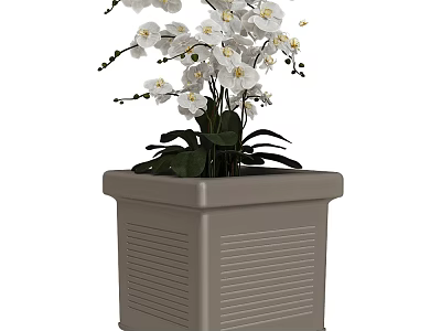 Bonsai Potted Plant With Square Gray Pot White Orchid Flowers And Green Leaves 3d model