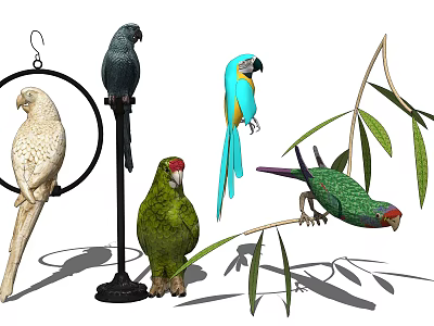 Various Colored Parrots Perched on Ring Stand Branch Ground with Green Leaves 3d model