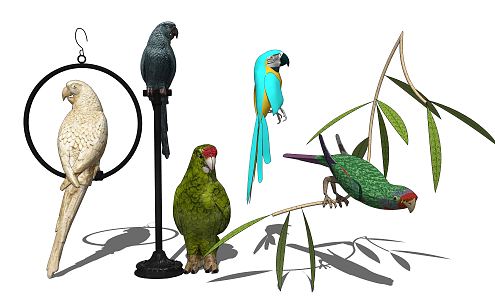 Modern parrot 3d model