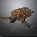 Brown and Orange Patterned Sea Turtle With Stretching Limbs On Dark Surface
