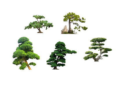 Varied Shaped Ornamental Arbor Trees With Pruned Foliage And Landscaping 3d model