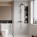 Modern Bathroom Interior Design With Vanity Toilet Shower Area Mirror Cabinets And Plants